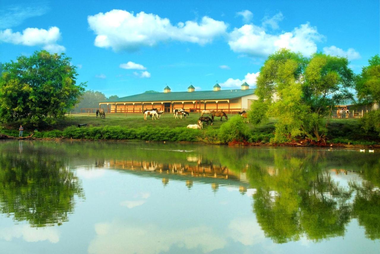 Southern Cross Guest Ranch Madison Ngoại thất bức ảnh