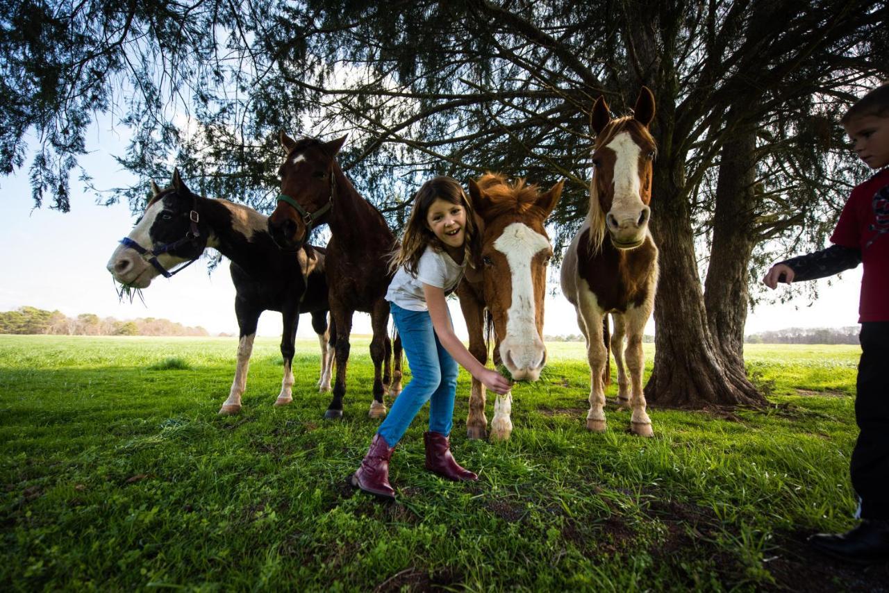 Southern Cross Guest Ranch Madison Ngoại thất bức ảnh